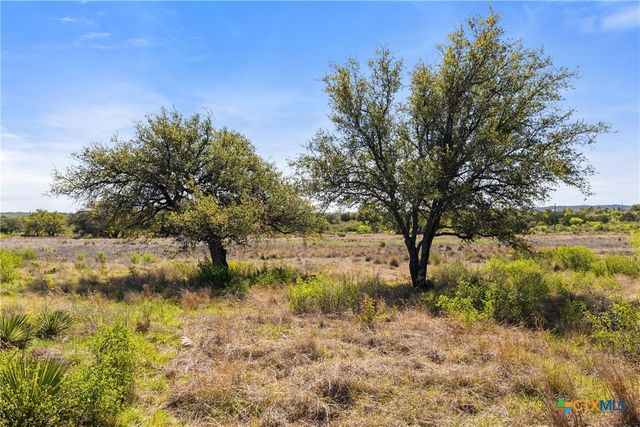 9580 Smith West Ranch Road, Round Mountain, TX 78663
