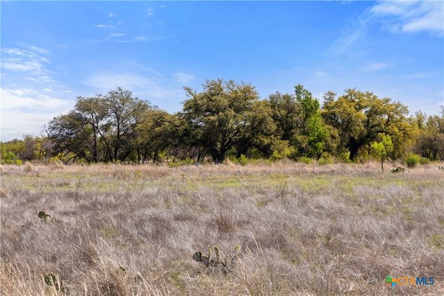 9580 Smith West Ranch Road, Round Mountain, TX 78663