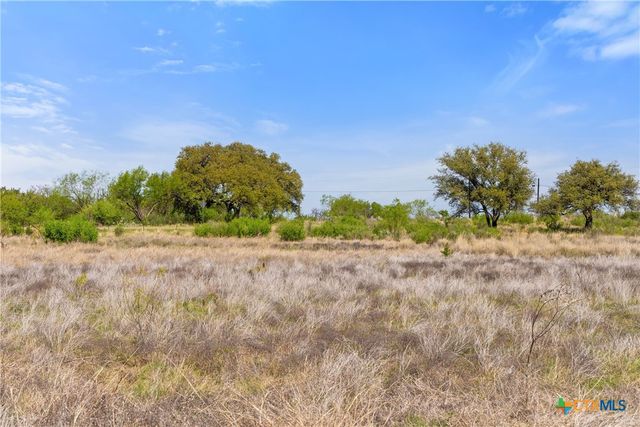 9580 Smith West Ranch Road, Round Mountain, TX 78663