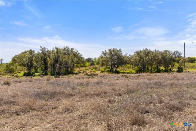 9580 Smith West Ranch Road, Round Mountain, TX 78663