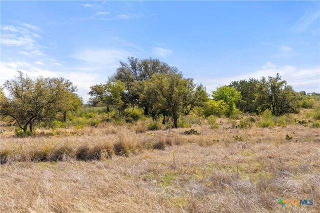9580 Smith West Ranch Road, Round Mountain, TX 78663