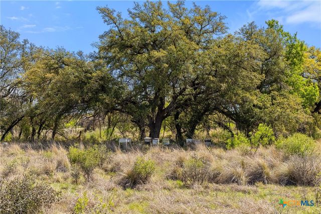 9580 Smith West Ranch Road, Round Mountain, TX 78663