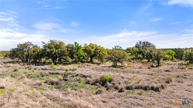 9580 Smith West Ranch Road, Round Mountain, TX 78663