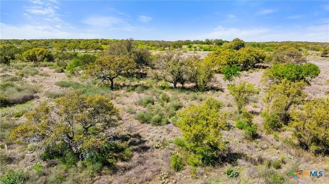 9580 Smith West Ranch Road, Round Mountain, TX 78663