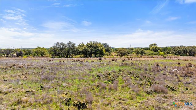 9580 Smith West Ranch Road, Round Mountain, TX 78663