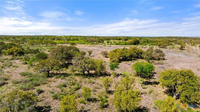 9580 Smith West Ranch Road, Round Mountain, TX 78663