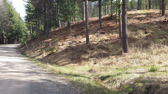 NKA Alhambra Rd, Kellogg, ID 83837