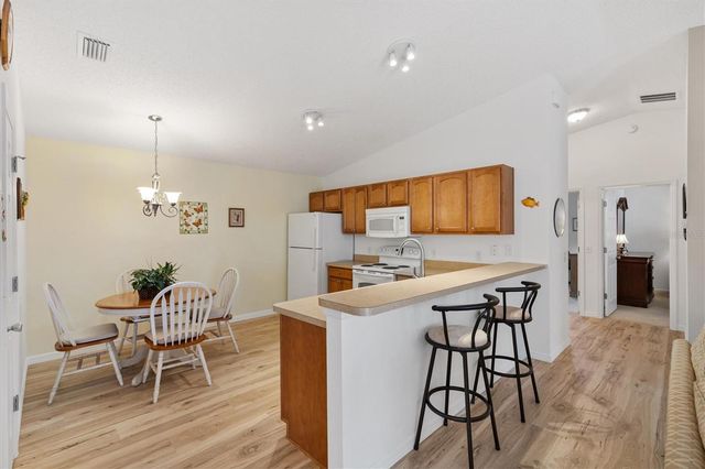 1358 HOLLYBERRY PLACE, The Villages, FL 32162