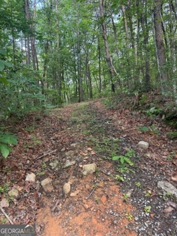 10.96 AC Paramount Trail, Ellijay, GA 30536