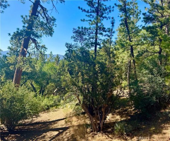 810 Villa Grove Avenue, Big Bear City, CA 92314