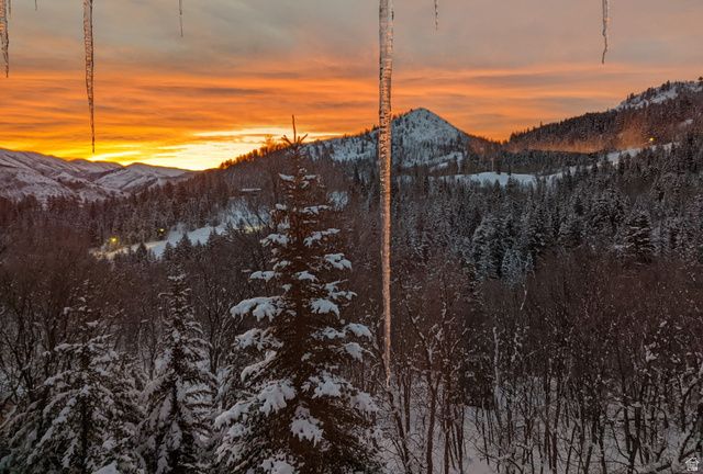 8807 N TIMPHAVEN RD, Sundance, UT 84604