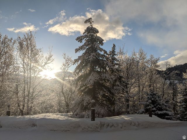 8807 N TIMPHAVEN RD, Sundance, UT 84604