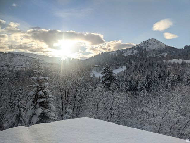 8807 N TIMPHAVEN RD, Sundance, UT 84604