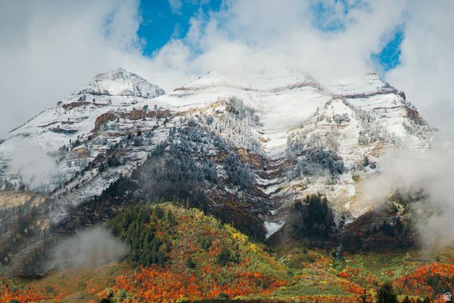 8807 N TIMPHAVEN RD, Sundance, UT 84604