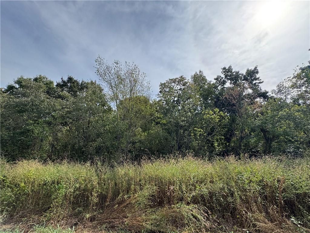 TBD Blairgowrie Circle, Bella Vista, AR 72715