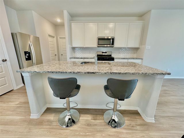 23255 Spring Genesis Lane, Katy, TX 77493