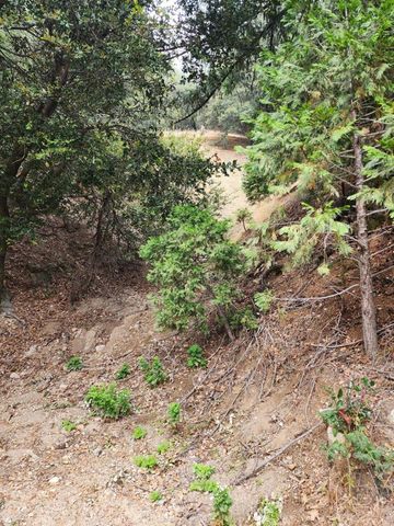 0 Fern Canyon Road, Crestline, CA 92325