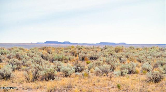 TBD County Road N7012 40 Acres -- -, Sanders, AZ 86512