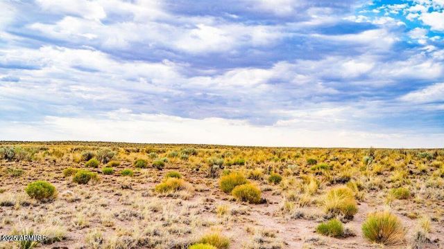 TBD County Road N7012 40 Acres -- -, Sanders, AZ 86512
