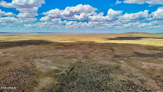 TBD County Road N7012 40 Acres -- -, Sanders, AZ 86512