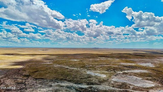 TBD County Road N7012 40 Acres -- -, Sanders, AZ 86512