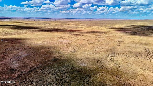 TBD County Road N7012 40 Acres -- -, Sanders, AZ 86512