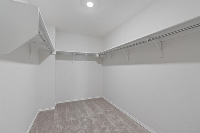 305 Los Cobos LN, Georgetown, TX 78626