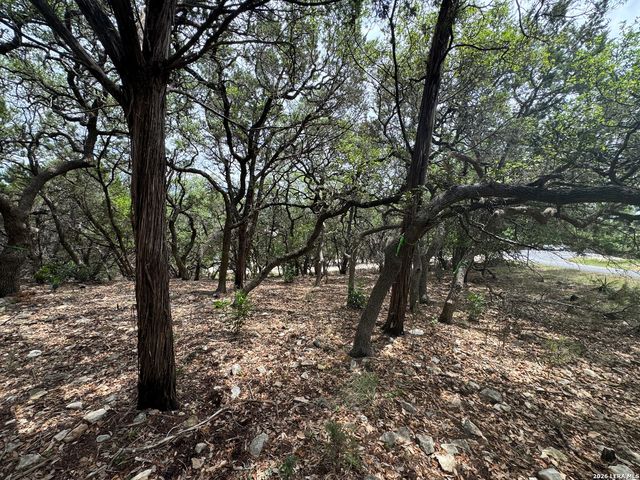 25918 SILVER CLOUD DR, San Antonio, TX 78260