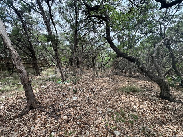 25918 SILVER CLOUD DR, San Antonio, TX 78260