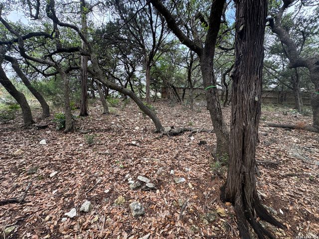25918 SILVER CLOUD DR, San Antonio, TX 78260