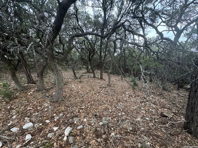 25918 SILVER CLOUD DR, San Antonio, TX 78260