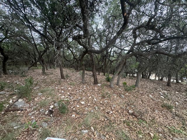 25918 SILVER CLOUD DR, San Antonio, TX 78260