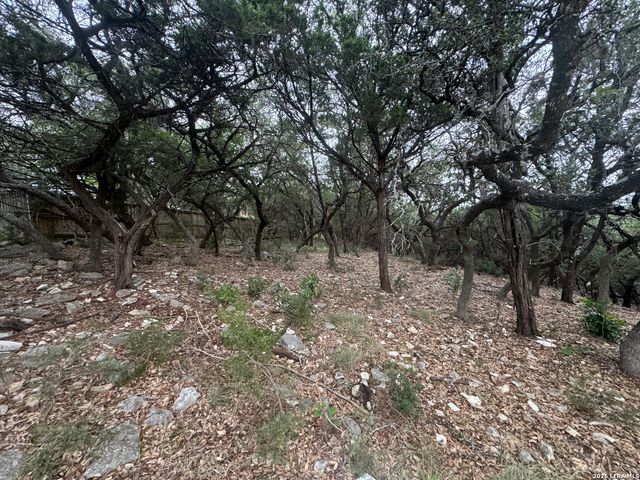 25918 SILVER CLOUD DR, San Antonio, TX 78260