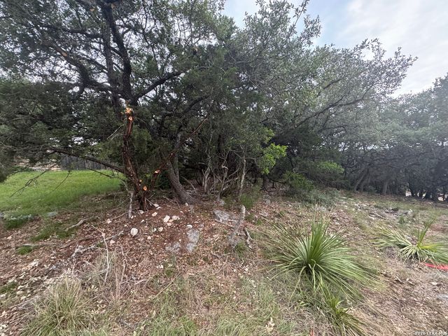 25918 SILVER CLOUD DR, San Antonio, TX 78260