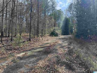 0 DEARMANVILLE ROAD, Anniston, AL 36207