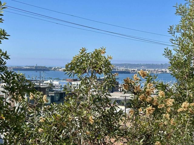 2410 Albatross St 9, San Diego, CA 92101