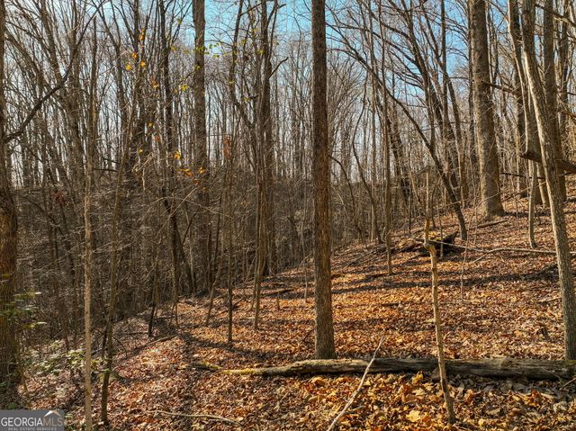 LOT 5 Mount Mincie Road, Murrayville, GA 30564