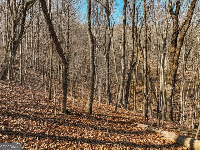 LOT 5 Mount Mincie Road, Murrayville, GA 30564