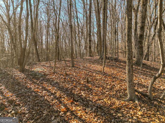 LOT 5 Mount Mincie Road, Murrayville, GA 30564