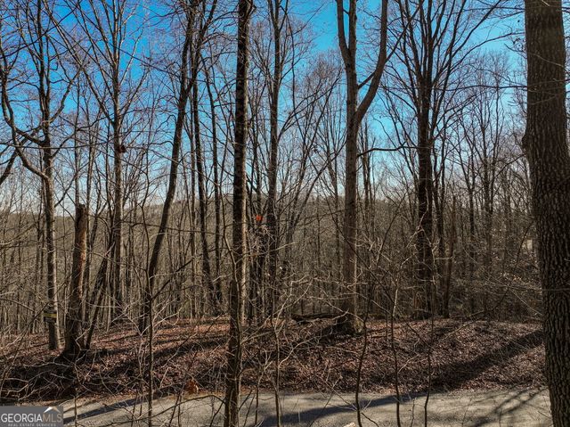 LOT 5 Mount Mincie Road, Murrayville, GA 30564