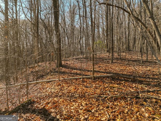 LOT 5 Mount Mincie Road, Murrayville, GA 30564