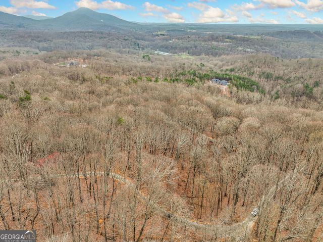 LOT 5 Mount Mincie Road, Murrayville, GA 30564