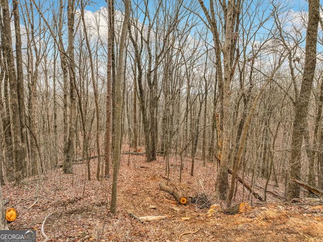 LOT 5 Mount Mincie Road, Murrayville, GA 30564