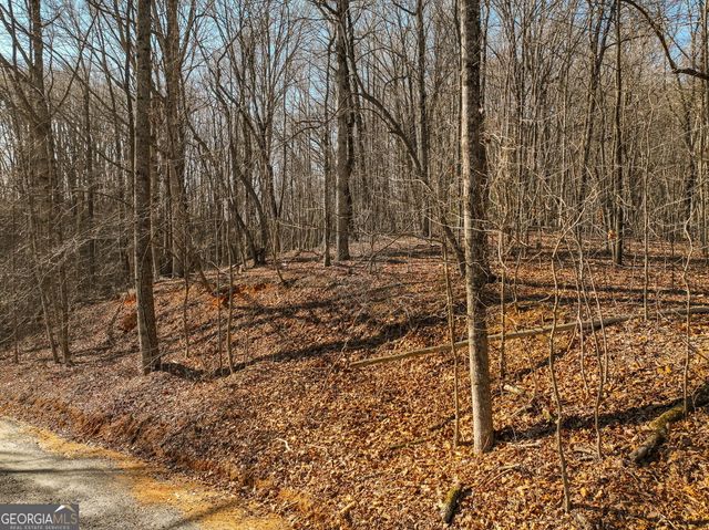 LOT 5 Mount Mincie Road, Murrayville, GA 30564