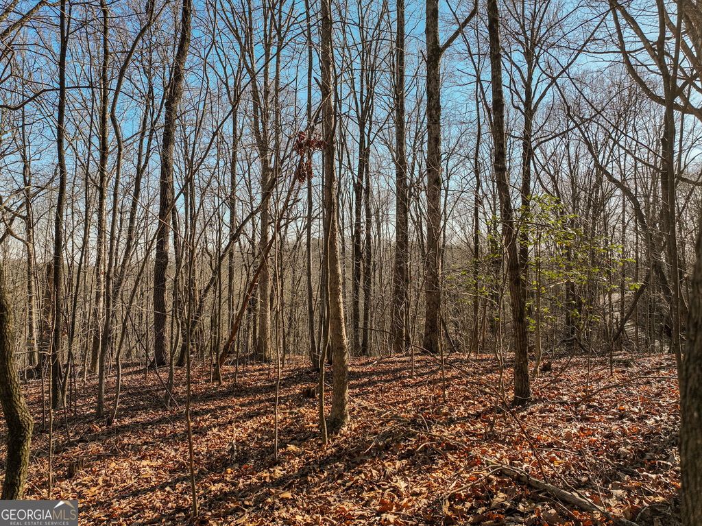 LOT 5 Mount Mincie Road, Murrayville, GA 30564