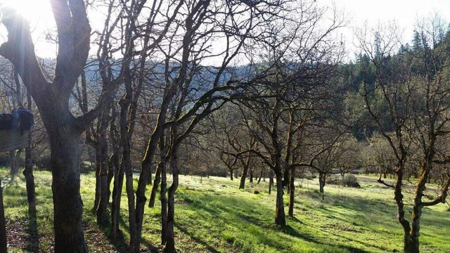 5885 Crowfoot Road, Trail, OR 97541