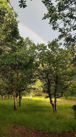 5885 Crowfoot Road, Trail, OR 97541