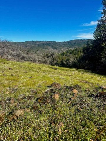 5885 Crowfoot Road, Trail, OR 97541