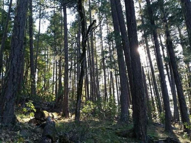 5885 Crowfoot Road, Trail, OR 97541