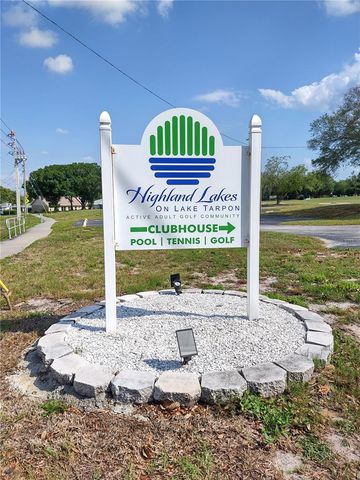 3535 BIRKDALE LANE, Palm Harbor, FL 34684